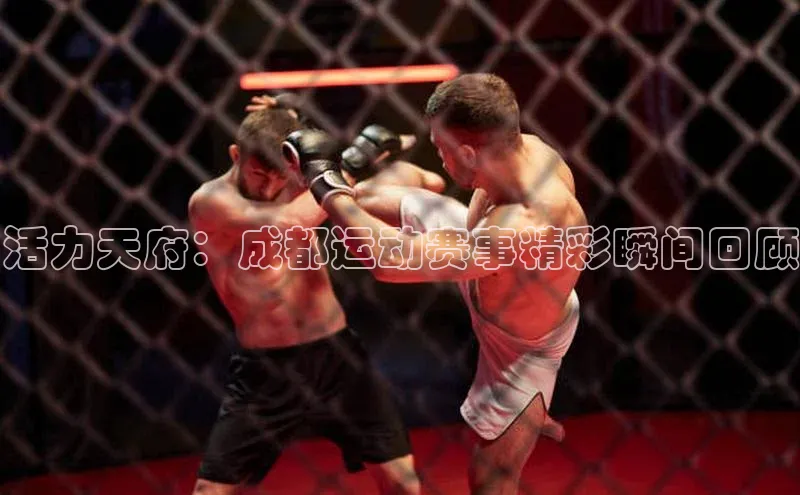 头玩官网登录入口百度大脑活力天府：成都运动赛事精彩瞬间回顾
