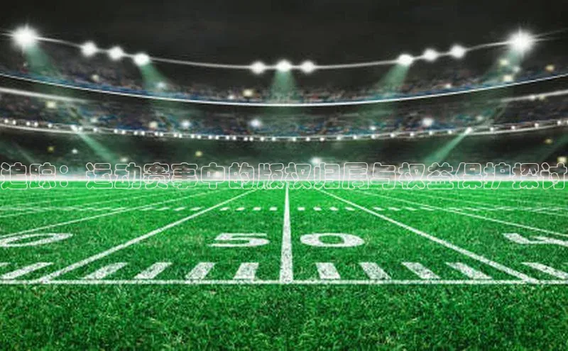 龙8官网网站轻美电器追踪：运动赛事中的版权归属与权益保护探讨