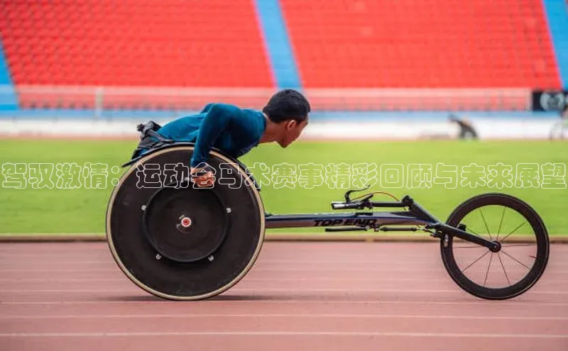 驾驭激情：运动会马术赛事精彩回顾与未来展望