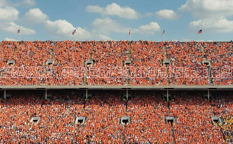 超越极限：赛事运动集团的创新与未来展望