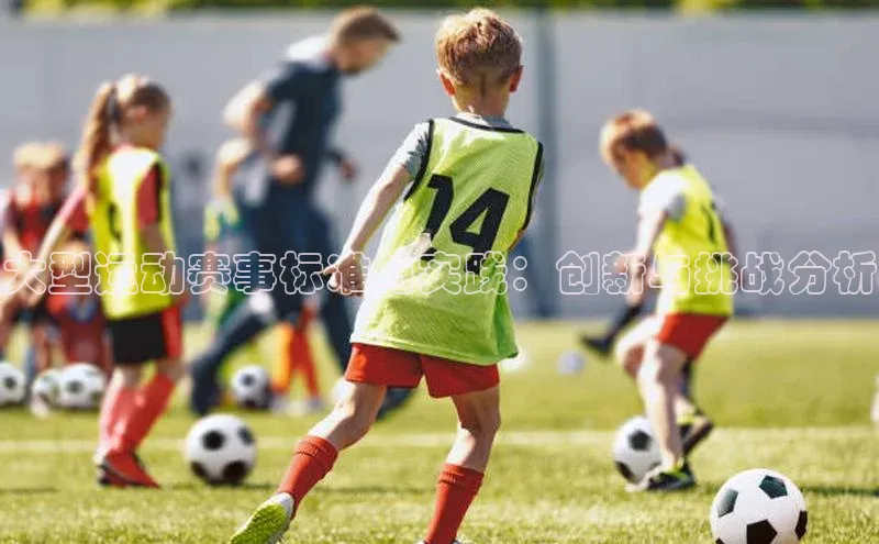 大型运动赛事标准与实践：创新与挑战分析