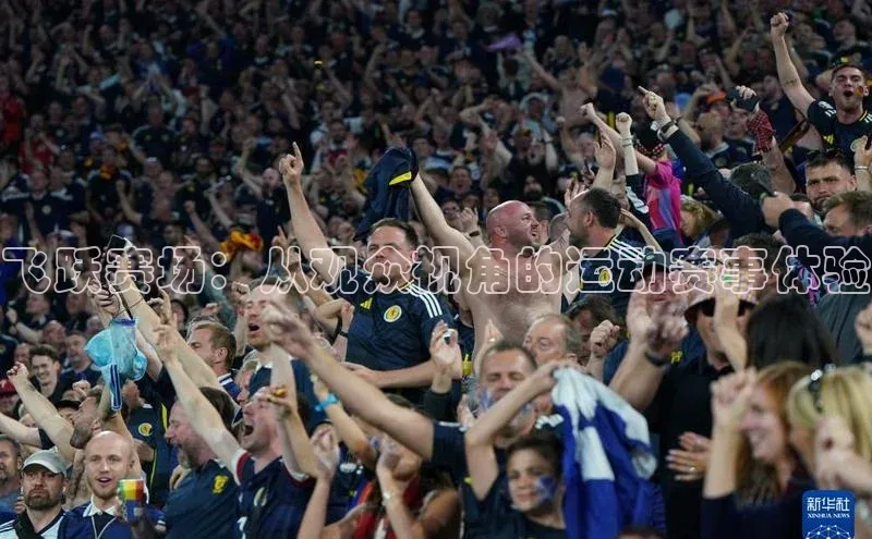 飞跃赛场：从观众视角的运动赛事体验