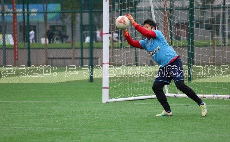 乒乓之道：乒乓球运动赛事的魅力与技巧