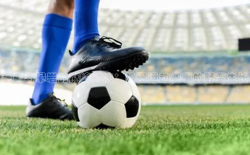 飙车与攀岩的巅峰对决：极限运动赛事的野蛮生长