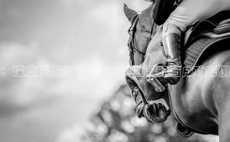 ：深度顶级运动赛事的赞助策略与成功案例