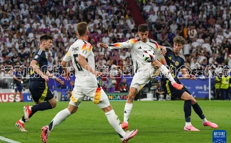 运动的魅力：从筹备到比赛的全程体验