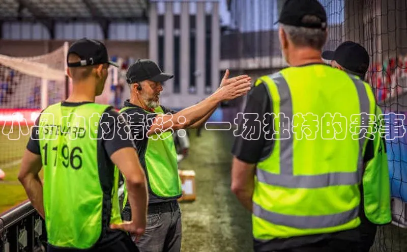 小品中的精彩：一场独特的赛事