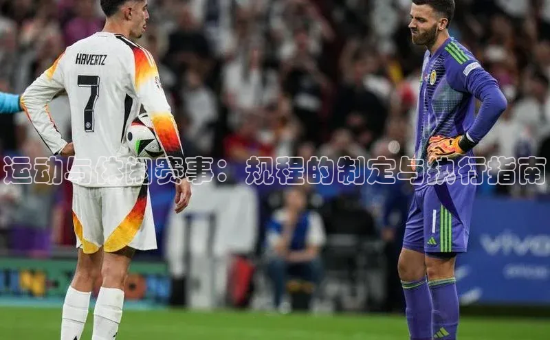 运动与休闲赛事：规程的制定与执行指南