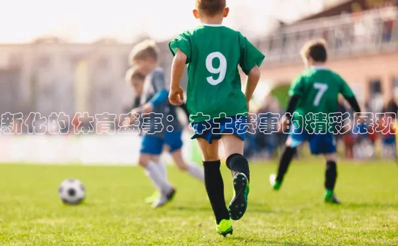 新化的体育盛事：本土赛事的精彩展现