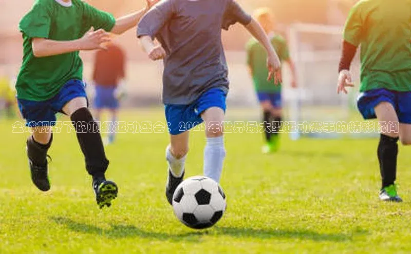 全球视野下的顶级运动盛会：2023年世界最大型运动赛事的精彩瞬间