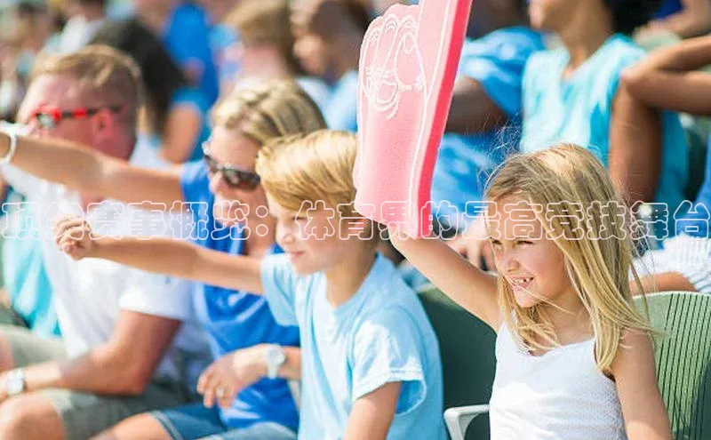 顶尖赛事概览：体育界的最高竞技舞台