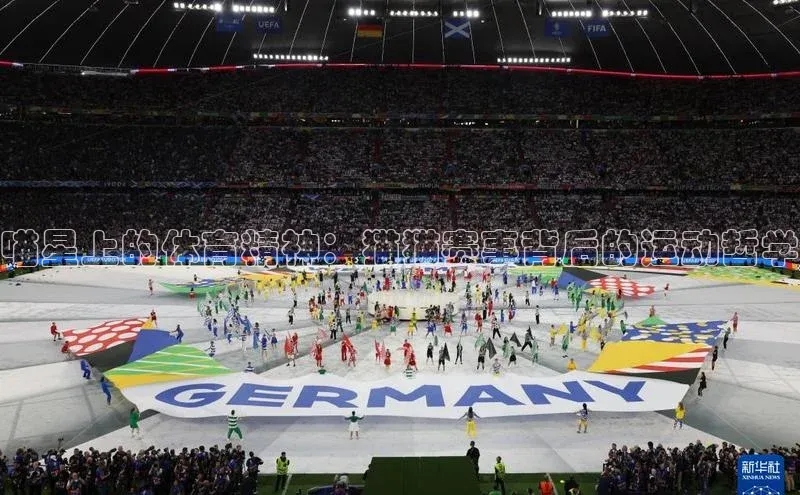 喵星上的体育精神：猫猫赛事背后的运动哲学