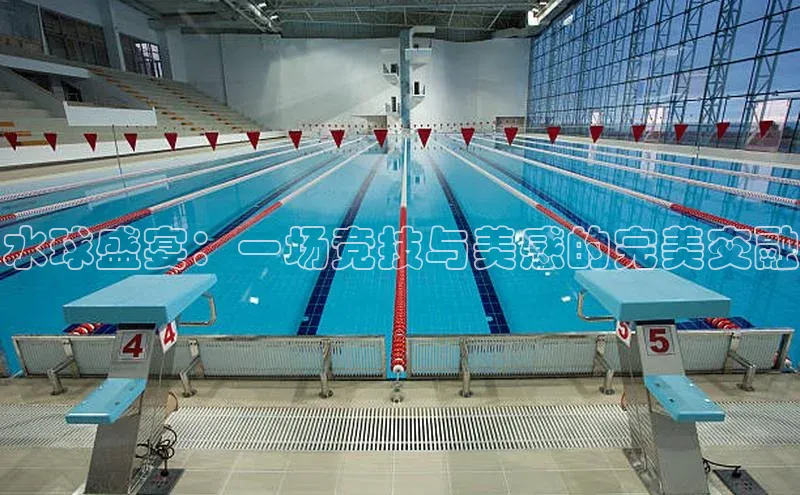 水球盛宴：一场竞技与美感的完美交融