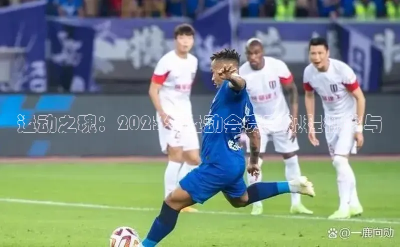 运动之魂：2023年运动会赛事规程概览与