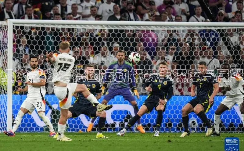 龙8官网手机登入口