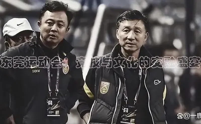 东莞运动会：竞技与文化的交融盛宴